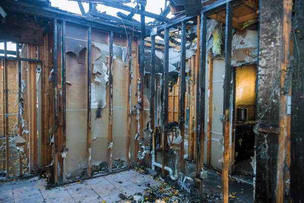 Professional Fire Damage Removal technician working in Highland-on-the-Lake, NY